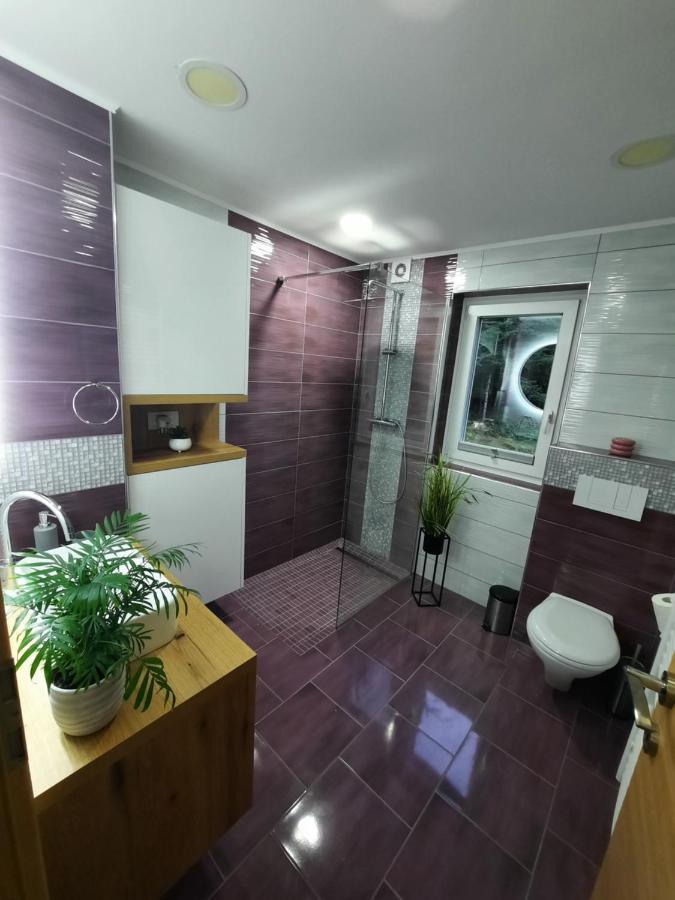 Garden House Apartment Zrece